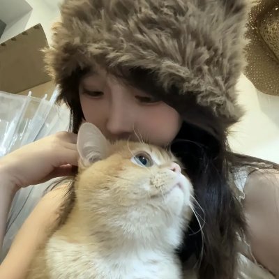 春情妃子