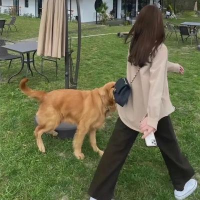 食人族残酷世界
